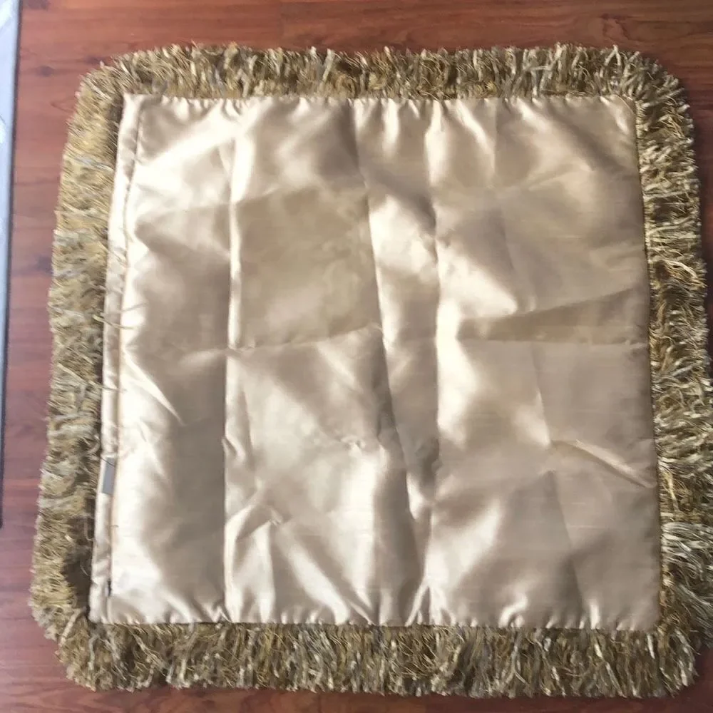 NEW Sweet dreams Neiman Marcus. Extra large, pillow, sham, gold fringe. ￼